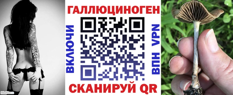 Галлюциногенные грибы мухоморы Дегтярск