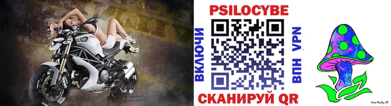 кракен как зайти  Дегтярск  Псилоцибиновые грибы мухоморы  что такое  